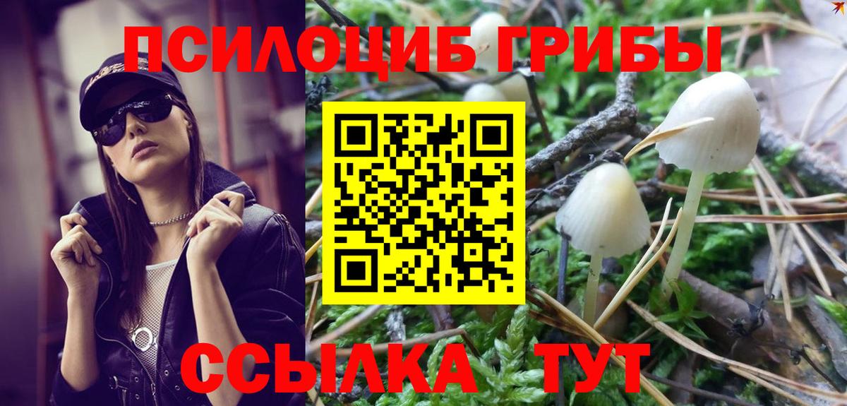 Псилоцибиновые грибы ЛСД  Вход с VPN  Улан-Удэ 